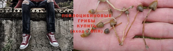 МДПВ Богородицк