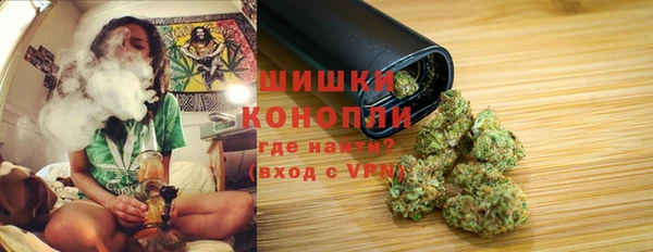 МДПВ Богородицк