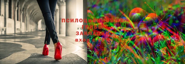 МДПВ Богородицк