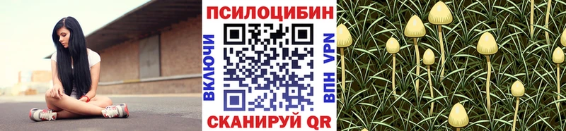 закладки  Воронеж  Псилоцибиновые грибы ЛСД 
